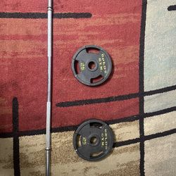 Gold’s Gym 25 lb Weight Plates (x2) + Barbell Set