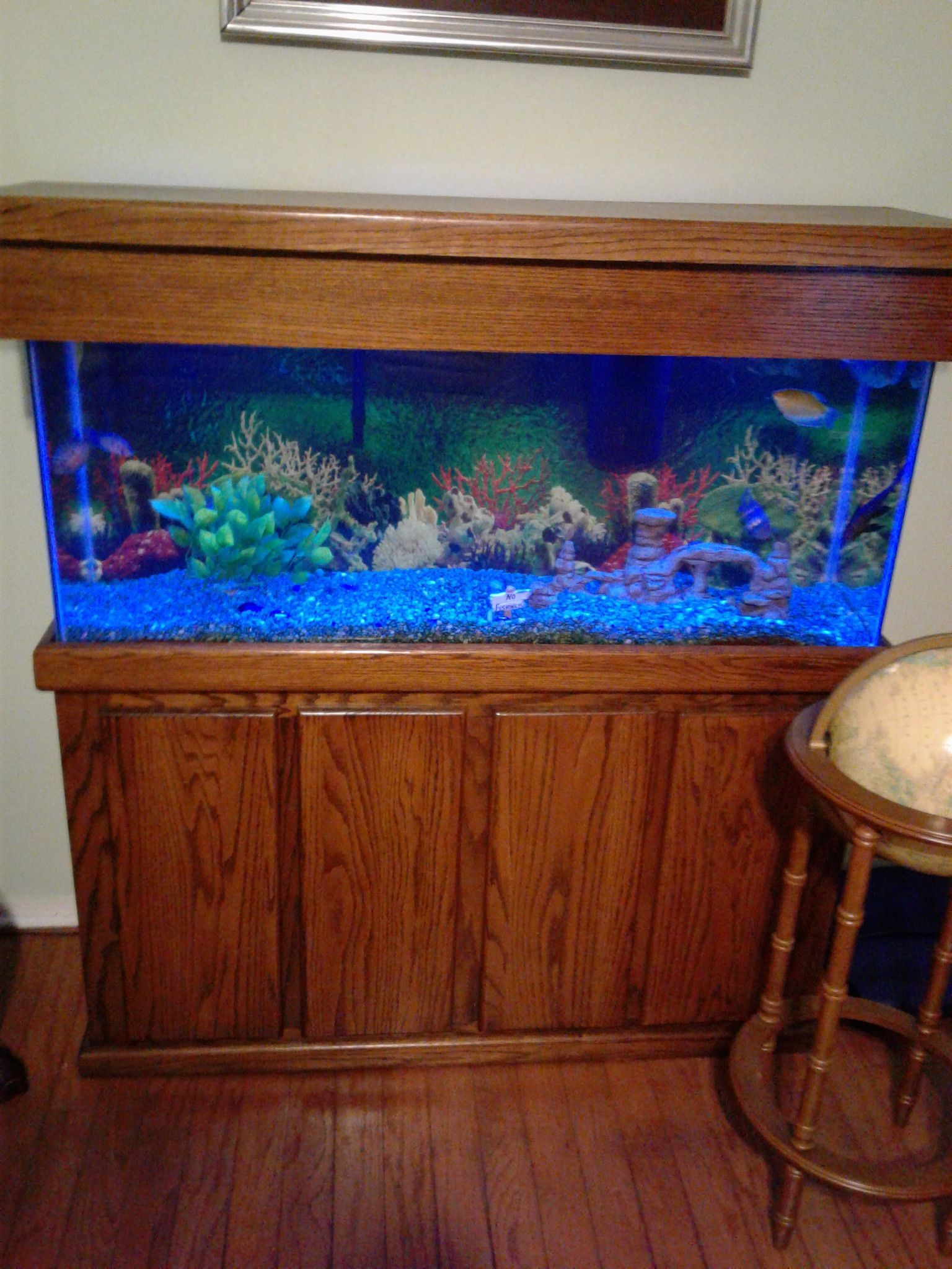 Fish Tank And Stand