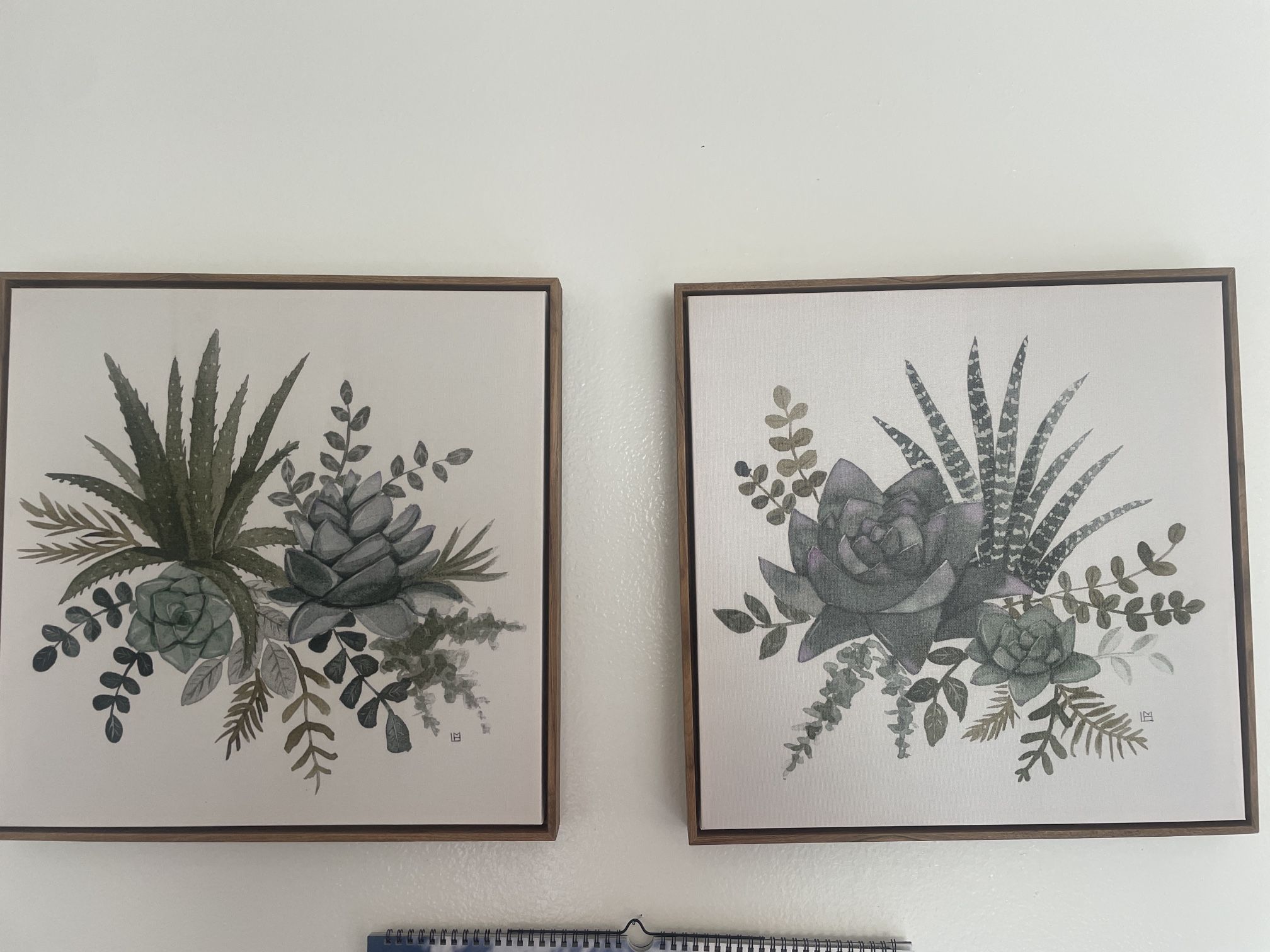 Succulent Wall art