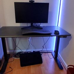 Sit/Stand Desk in Great Condition!