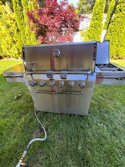 Weber summit natural gas grill barbecue