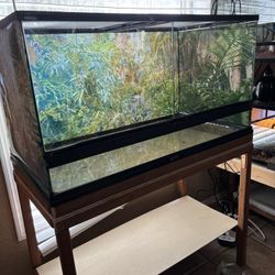 40 GallonTerrariums Like New