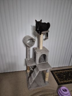 Cat tree (árbol para gato)