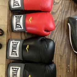 Everlast Boxing Gloves