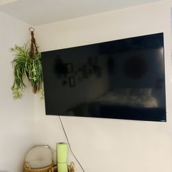 VIZIO TV + Mount + Amazon Fire Stick