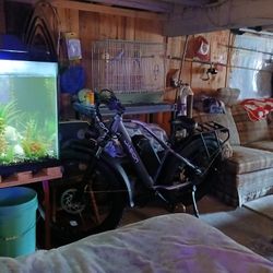 55 Gallon Aquarium 
