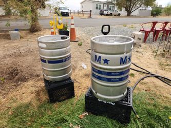 Beer Kegs