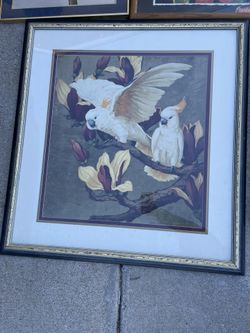 Framed Bird Picture 