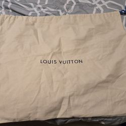 Louis Vuitton Purse Bag Cover 