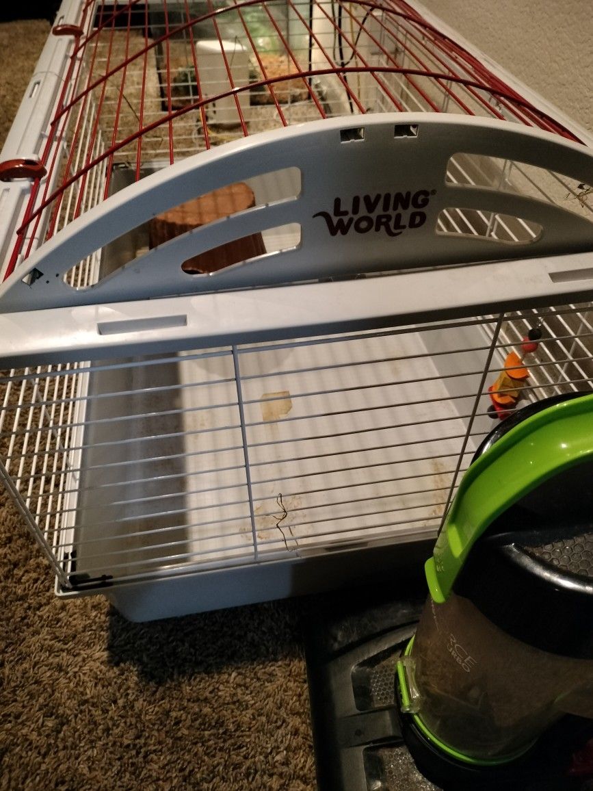 Guinea Pig Xl Cage 