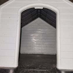 Dog House