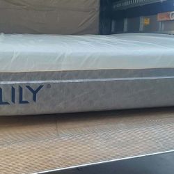 Brand New Queen Size Memory Foam Included Box Spring And Free Delivery Depends On Location.