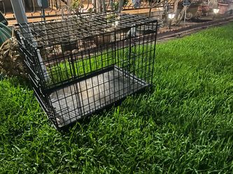 Like new dog kennel dog crate