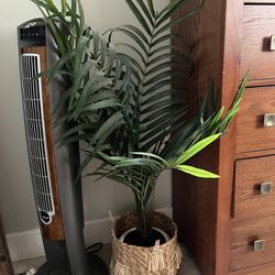 Faux Plant With Wicker Plant Base