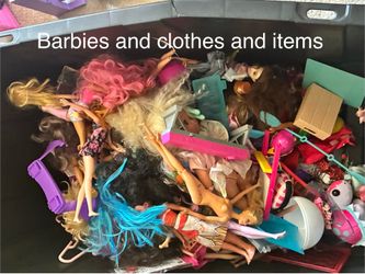 A whole Barbie collection various items
