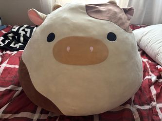 Ronnie Squishmallow
