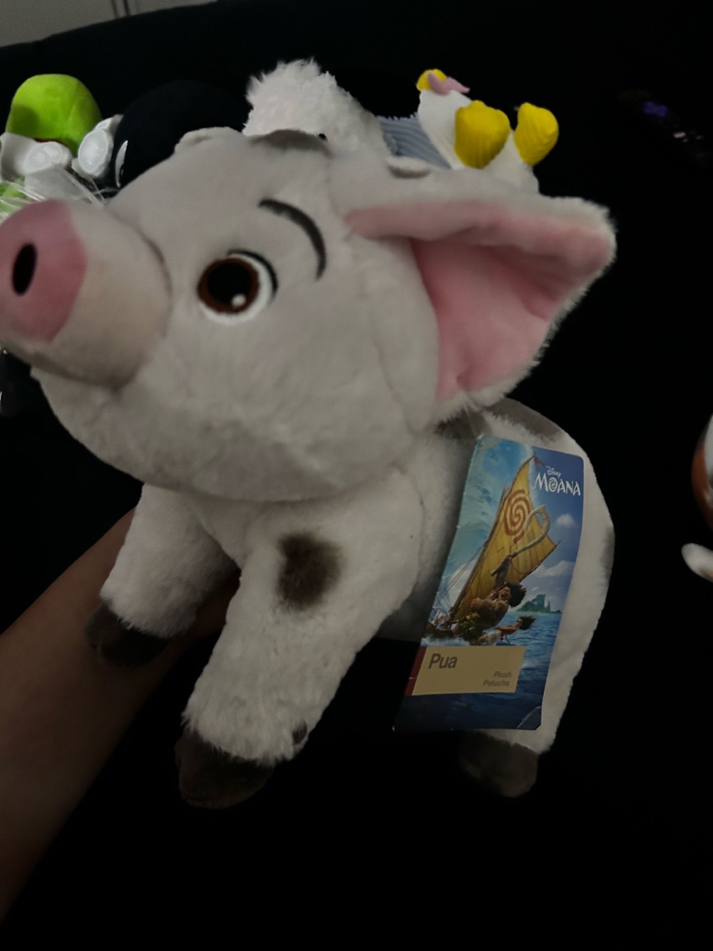 Pua moana