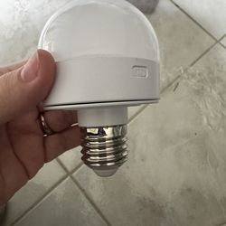 Battery Light Bulbs (2)