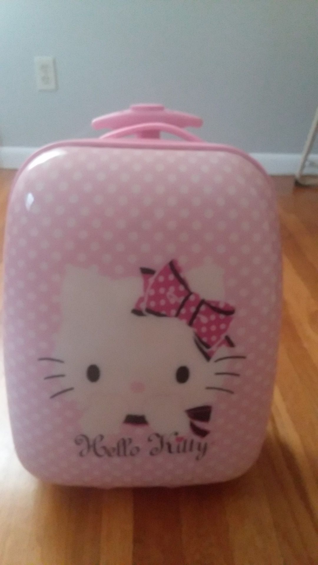 Hello kitty luggage