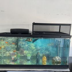 Fish Tank 75 Gallon 