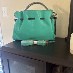 Badgley Mishka teal purse