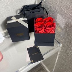 Preserved Roses in a Box That Last Up to 3 Year, Preserved Rose Preserved Flowers 