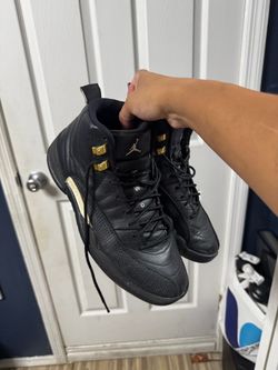 Master Air Jordan 12 Retro