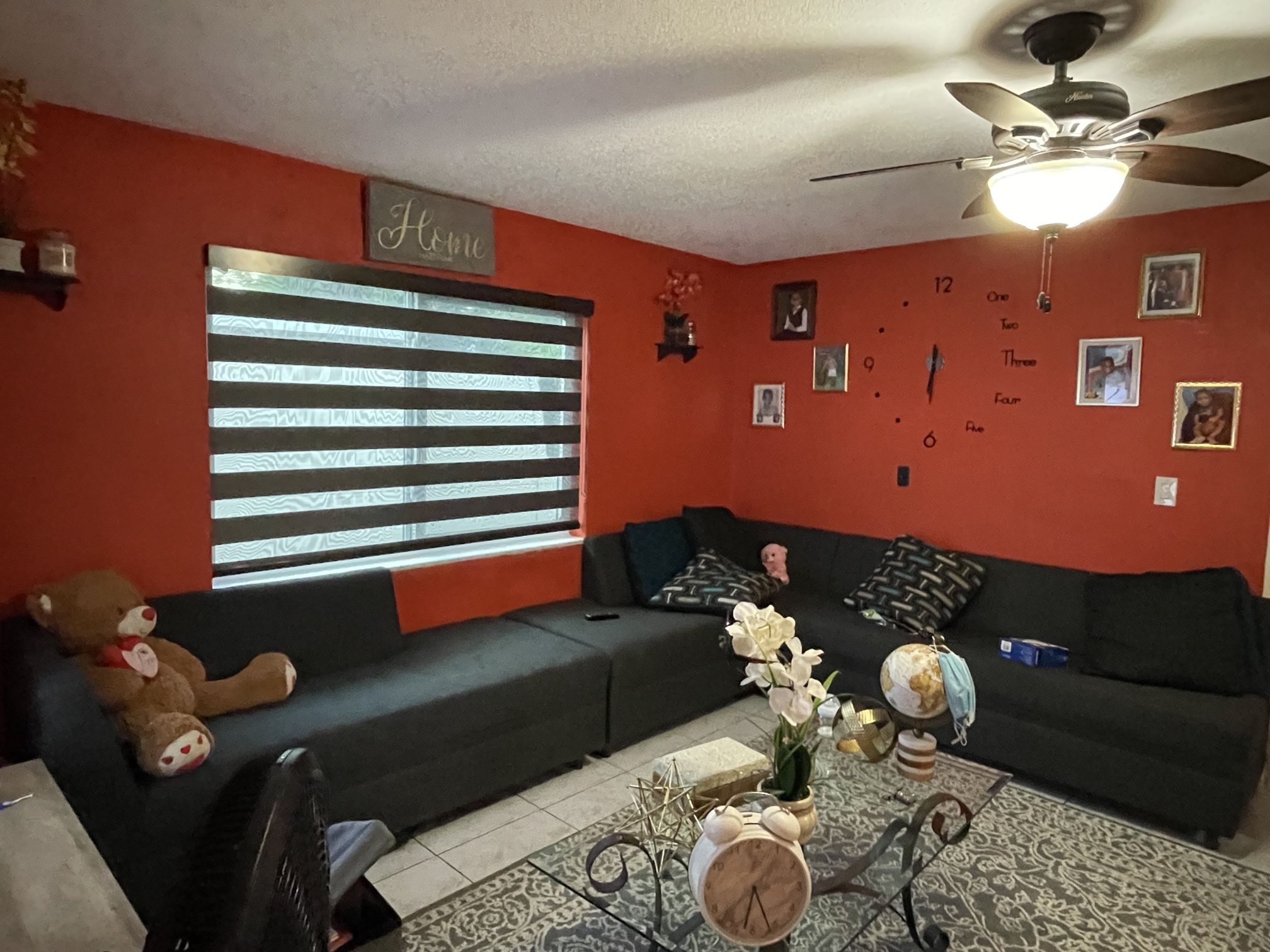 Zebra Blinds, Roller Shades, Motorized Blinds