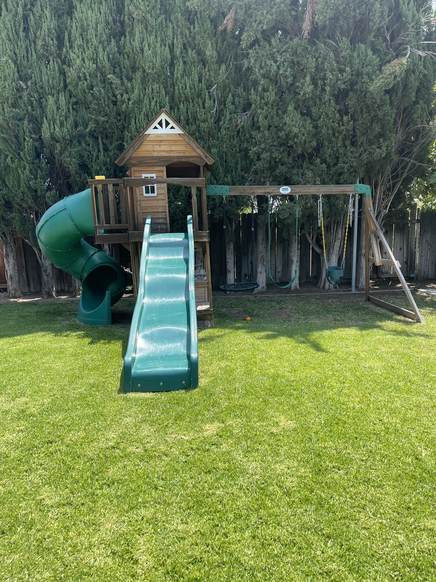 Play Structure and Swing Set
