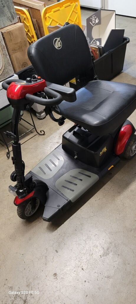 Buzz Around XL Scooter