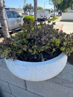 Planter