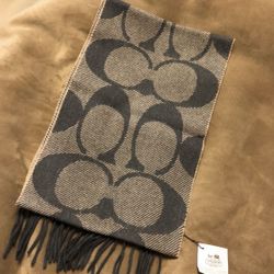 Coach Scarf