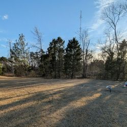 Beautiful Cemetery Plots- Price Reduced!