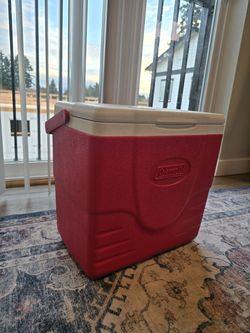 “Camping / Fishing / Road Trip Cooler”