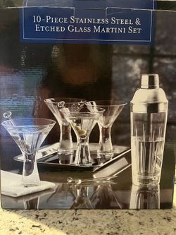 10 Piece stainless steel glass martini set