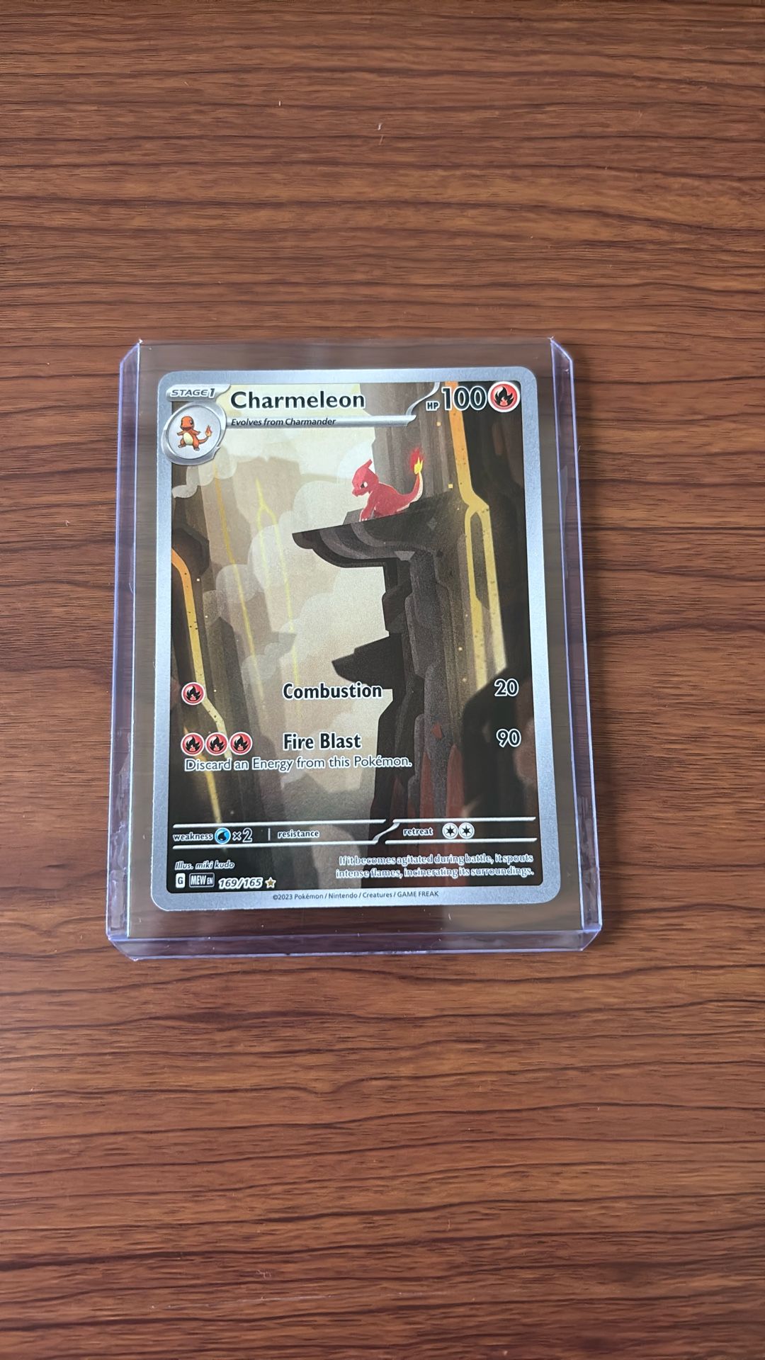 Pokemon Charmeleon IR