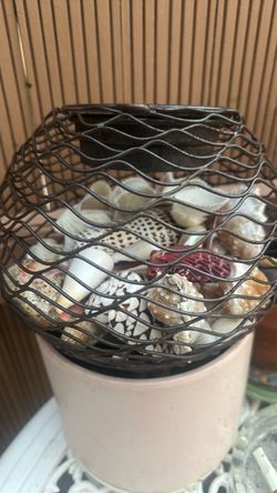Several Seashells