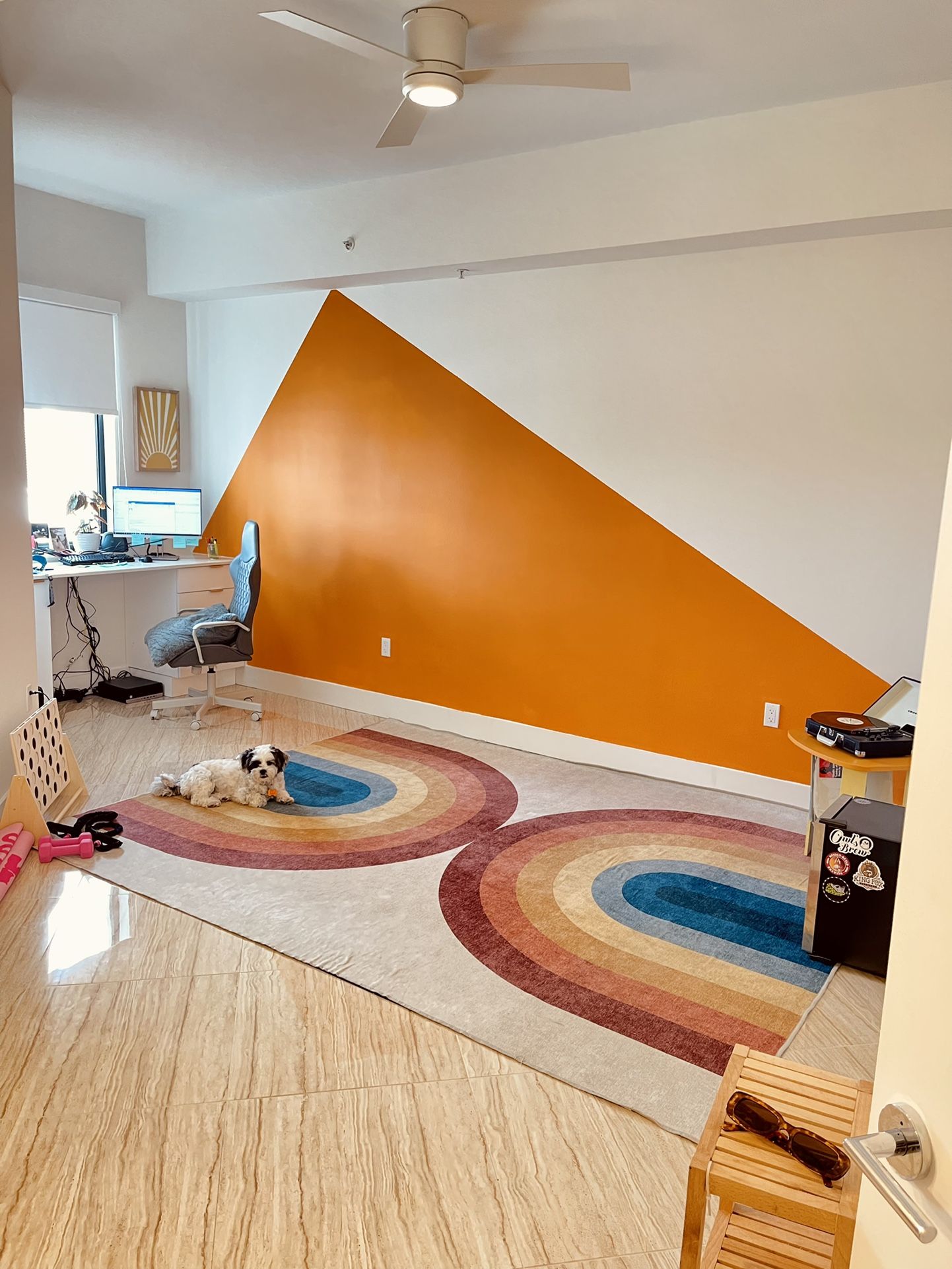 Ruggable Rainbow Rug! 8x10