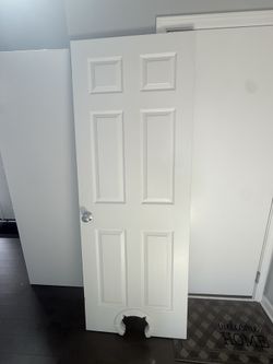 Interior Door with cat or small dog door