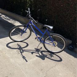 Blue Bike 10$