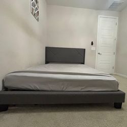 Queen Bedframe 