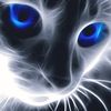 Kitty Thiel