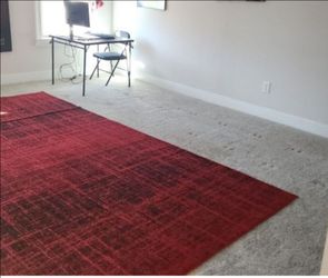 Large Red Area Rug with Abstract Pattern