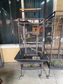 Parrot/loveBird cage