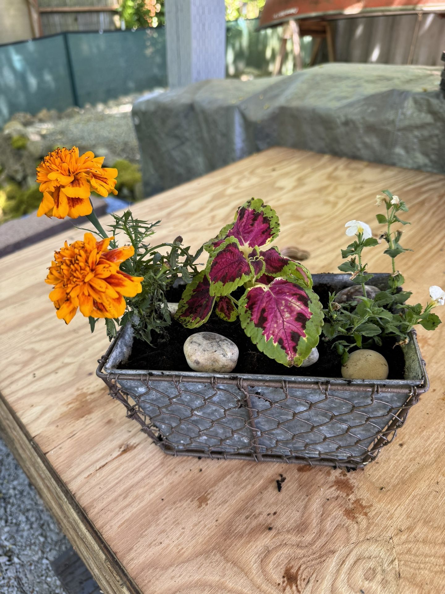 2-Cute Rustic Planters With Plants