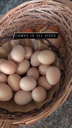 Fresh Farm Eggs $10 Per Dozen