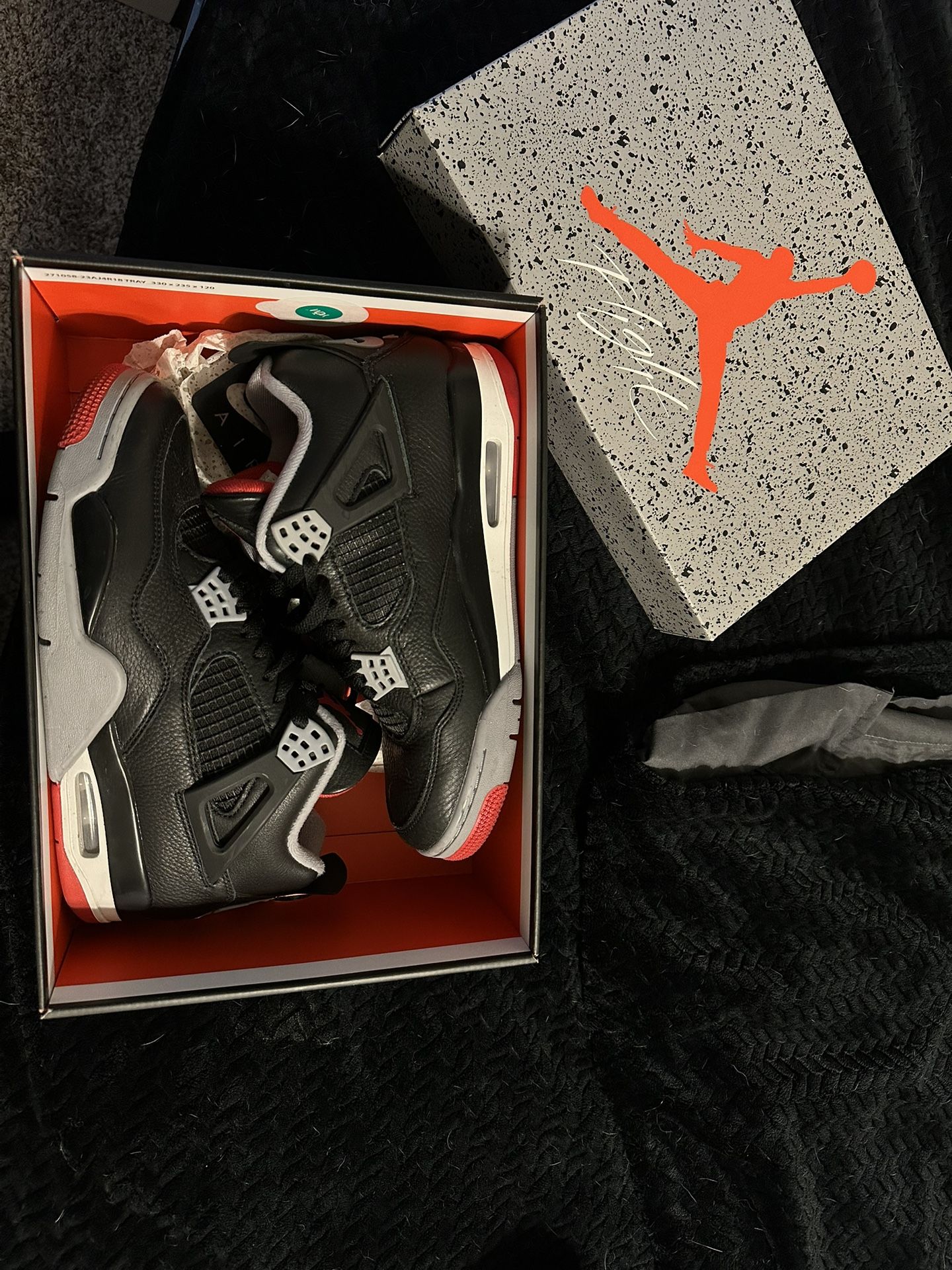 Jordan 4 10.5M Pure Breds