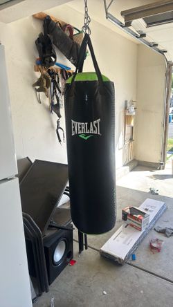 Everlast Punching Bag