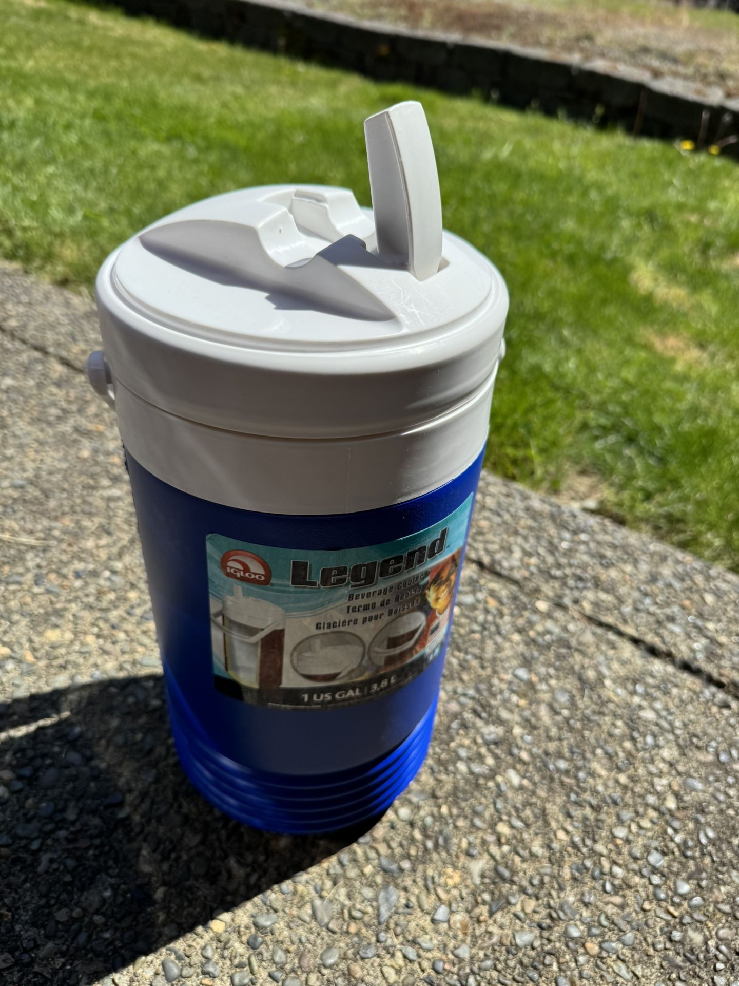 NEW - Igloo cooler 1gal