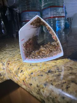 Cucarachas / Roach Control Products